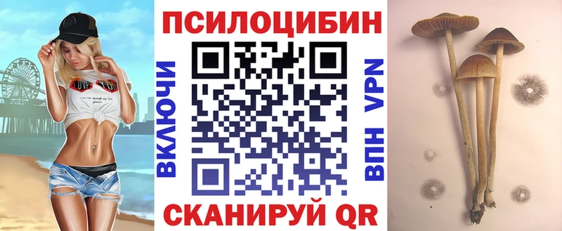 Псилоцибиновые грибы Psilocybe Железногорск