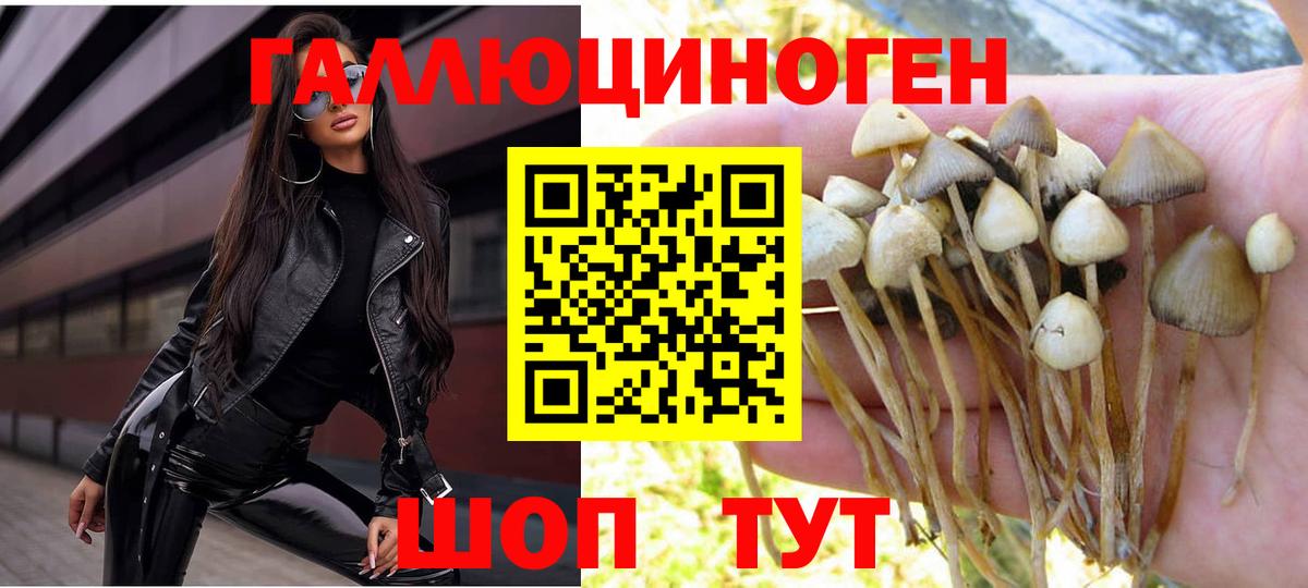 Железногорск  Псилоцибиновые грибы мухоморы  Вход с VPN  Псилоцибиновые грибы MAGIC MUSHROOMS 