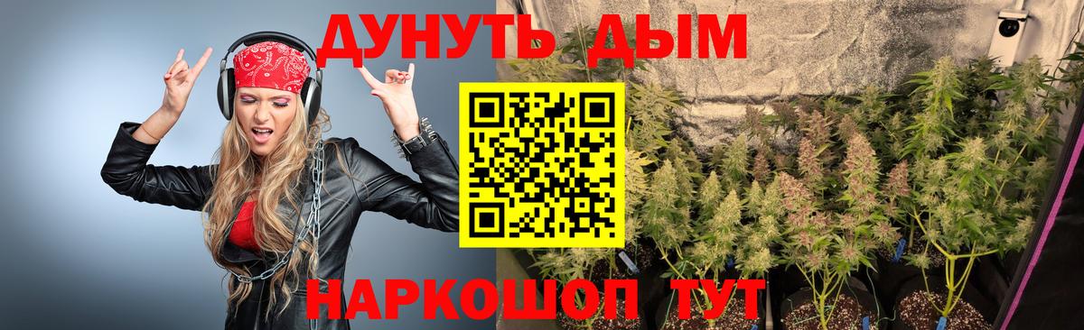 МАРИХУАНА семена  Железногорск  Канабис марихуана 